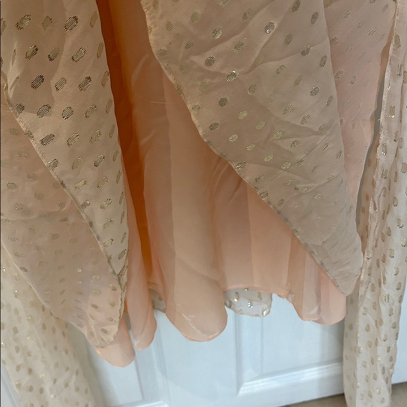 ⭐️ Jill Stuart Strapless Light Peach Silk Gown with Silver Accents - size 8 - Picture 11 of 13